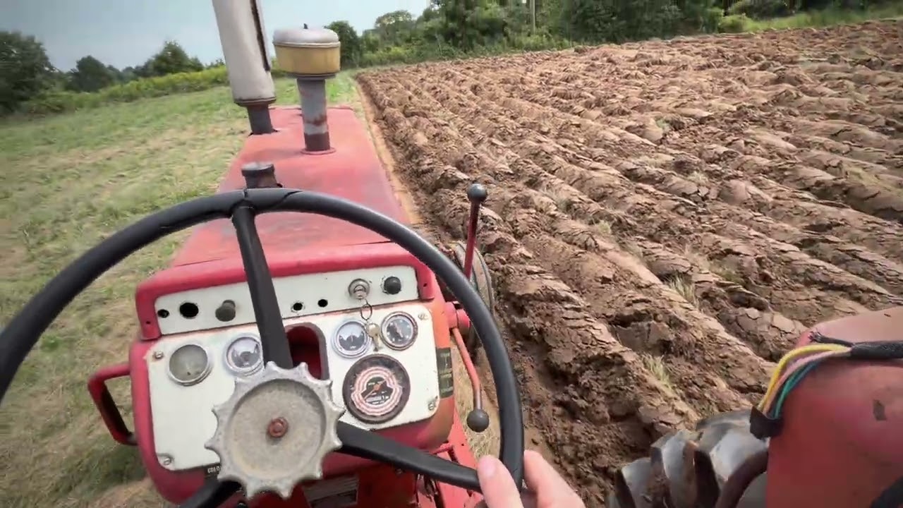 plowing with a cockshut 1650