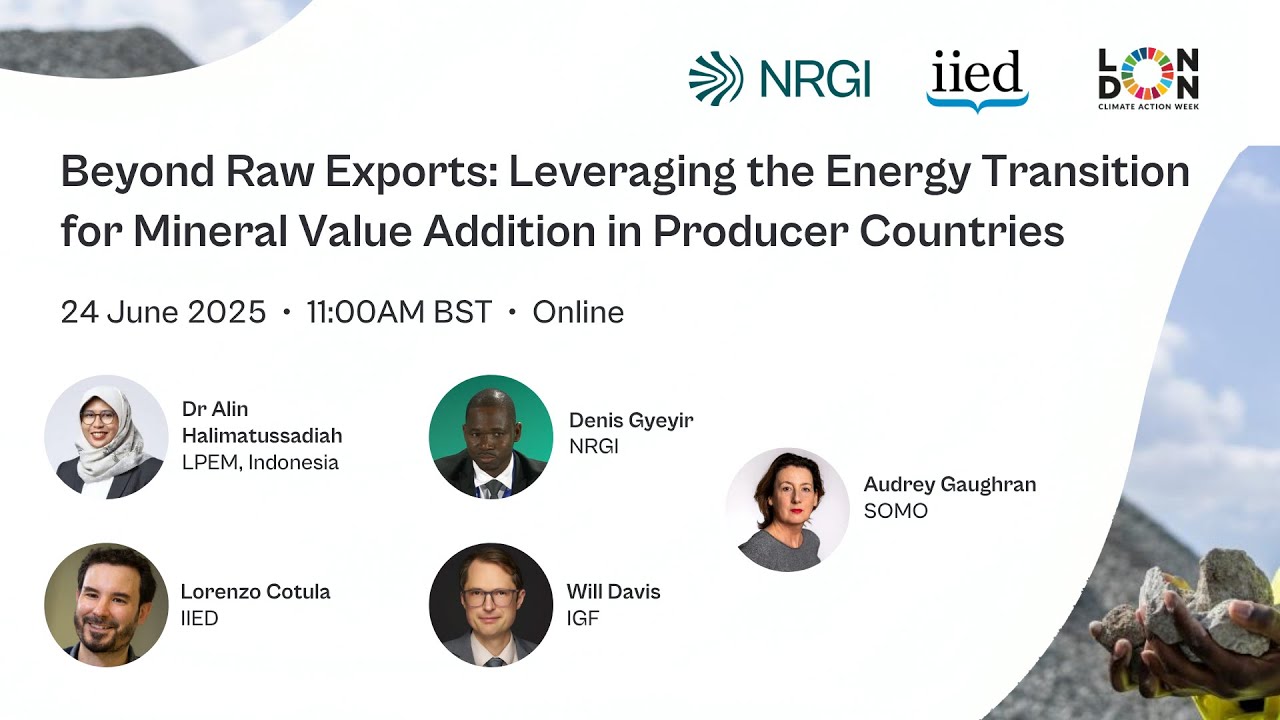 Beyond raw exports: leveraging energy transition for mineral value addition in producer countries