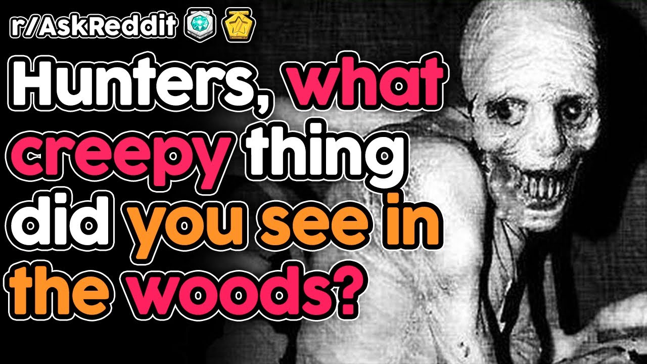 What made you not want to go back into the woods? (r/AskReddit Top Stories)