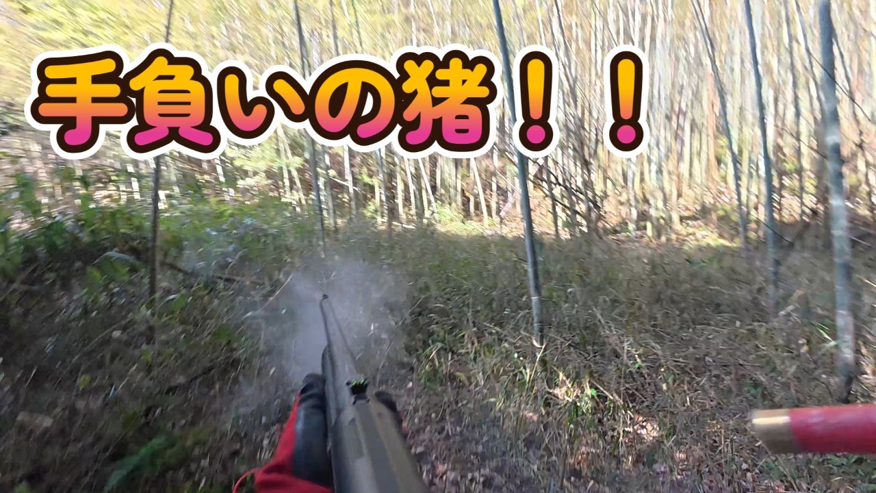 狩猟動画