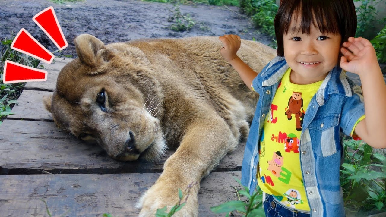 北海道 旭山動物園へおでかけ！たくさんの動物がいたよ！ レオ★スマイル