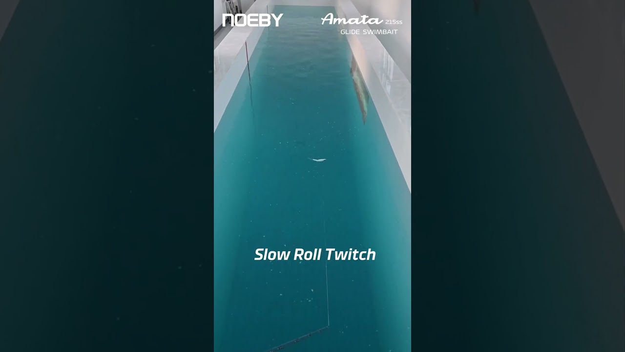 Noeby Amata Glide Swimbait leurre souple 215mm 73g Wobblers en