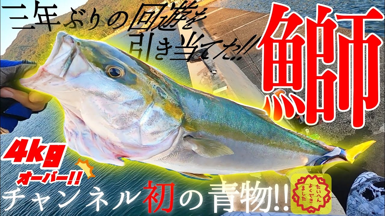 【青物ショアジギング】細いロッドを使ってる時に限ってブリが釣れる！！！