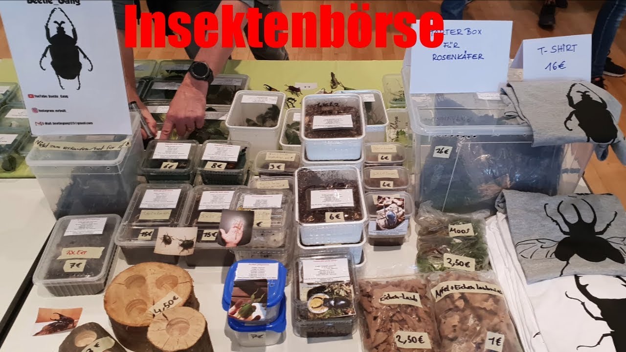 [Mini Video] *Follow Me Around* Internationale Insektenbörse Frankfurt am Main