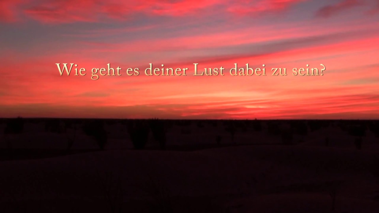 Karawane der Liebe in der Sahara