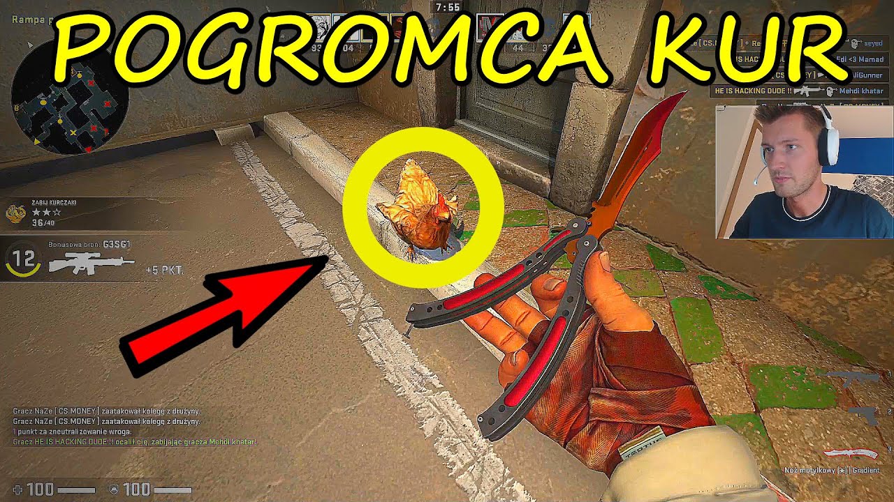 POGROMCA KURCZAKÓW MERVO! - Śladami Tygrysa #12