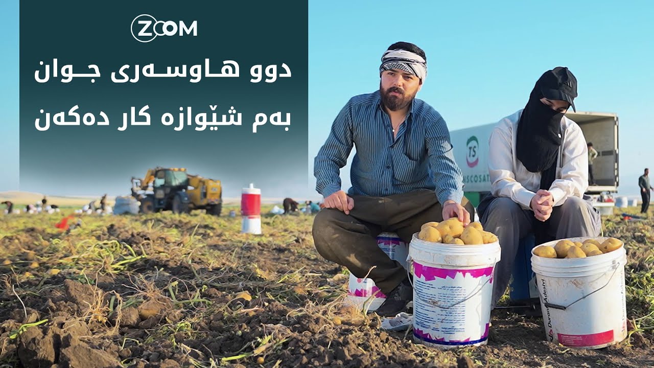 چیرۆکى جیاوازى ئەم دووهاسەرە و ئەوانى دیکە ببینن چۆن کار دەکەن