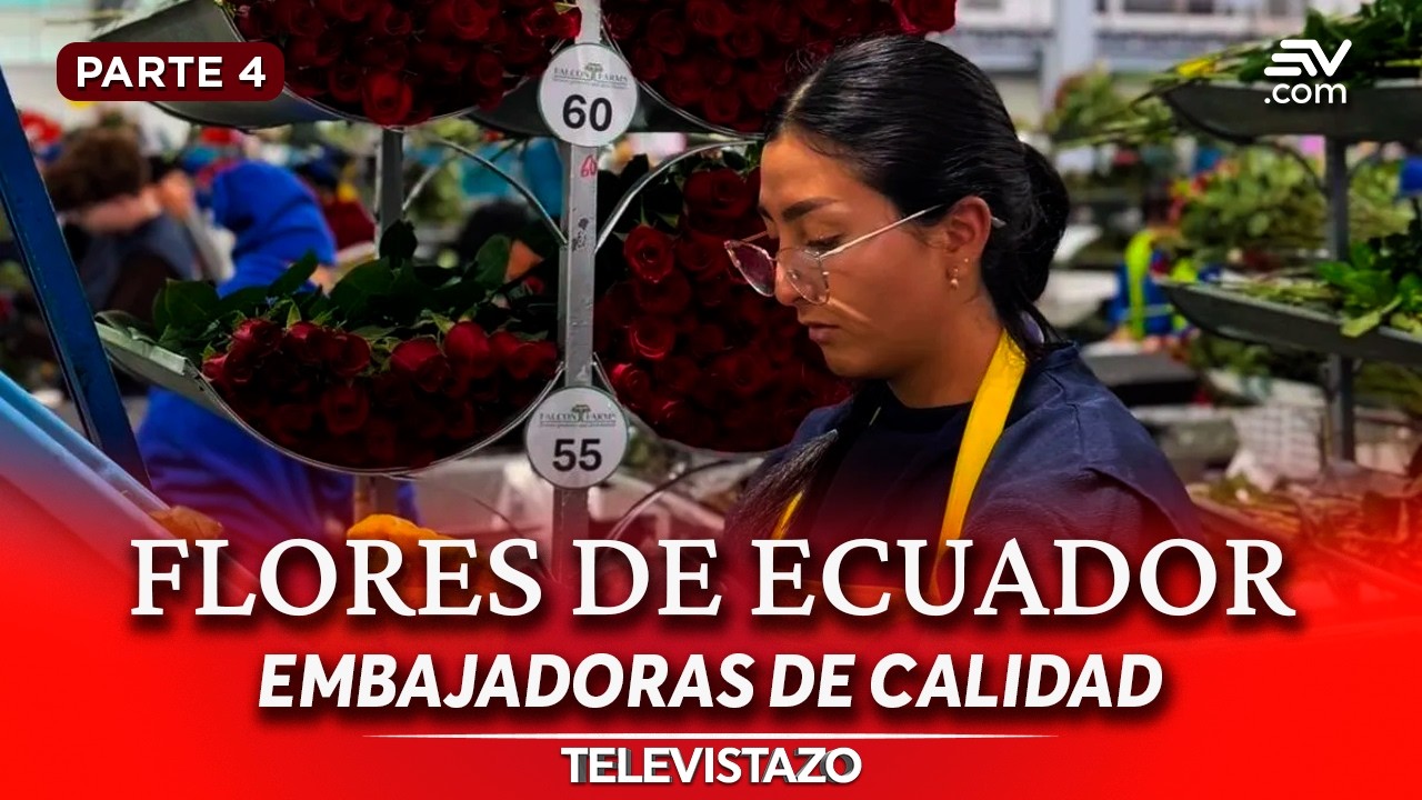 Aeropuerto de Miami recibe flores de Ecuador por San Valentín | Especial de Televistazo | Ecuavisa