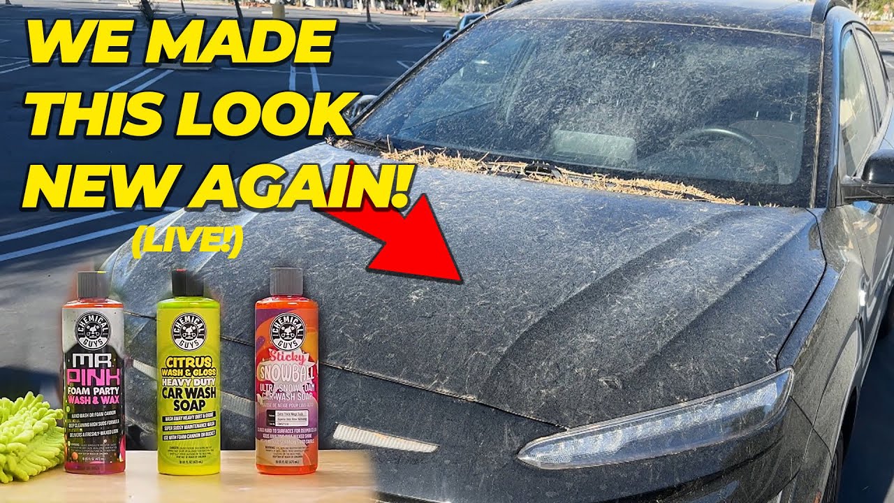 Watch This Car Go From FILTHY To FLAWLESS (Recorded LIVE!)