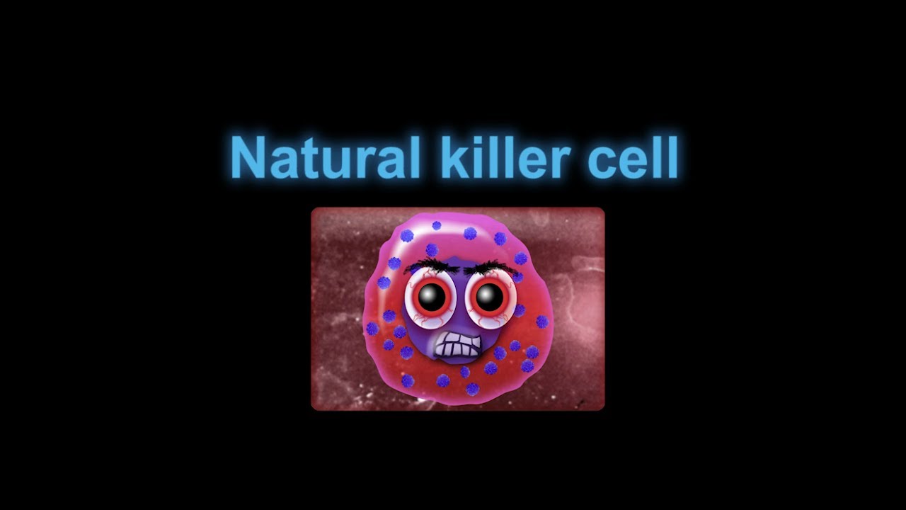 Supercytes cartoon - Natural killer cell