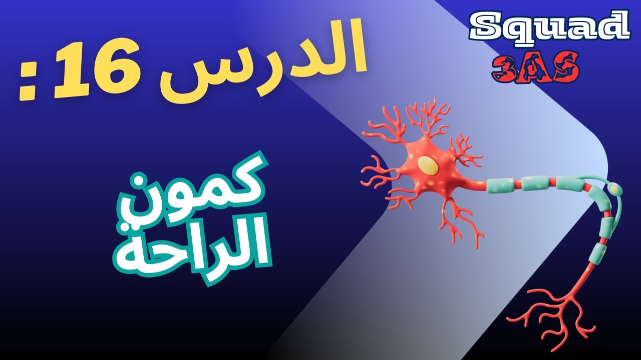 ⚡ كمون الراحة ببساطة – شرح شامل ثالثة ثانوي