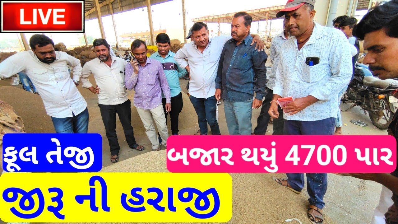 🔴 live cumin trading in jasdan APMC #jeera ,November 12, 2022
