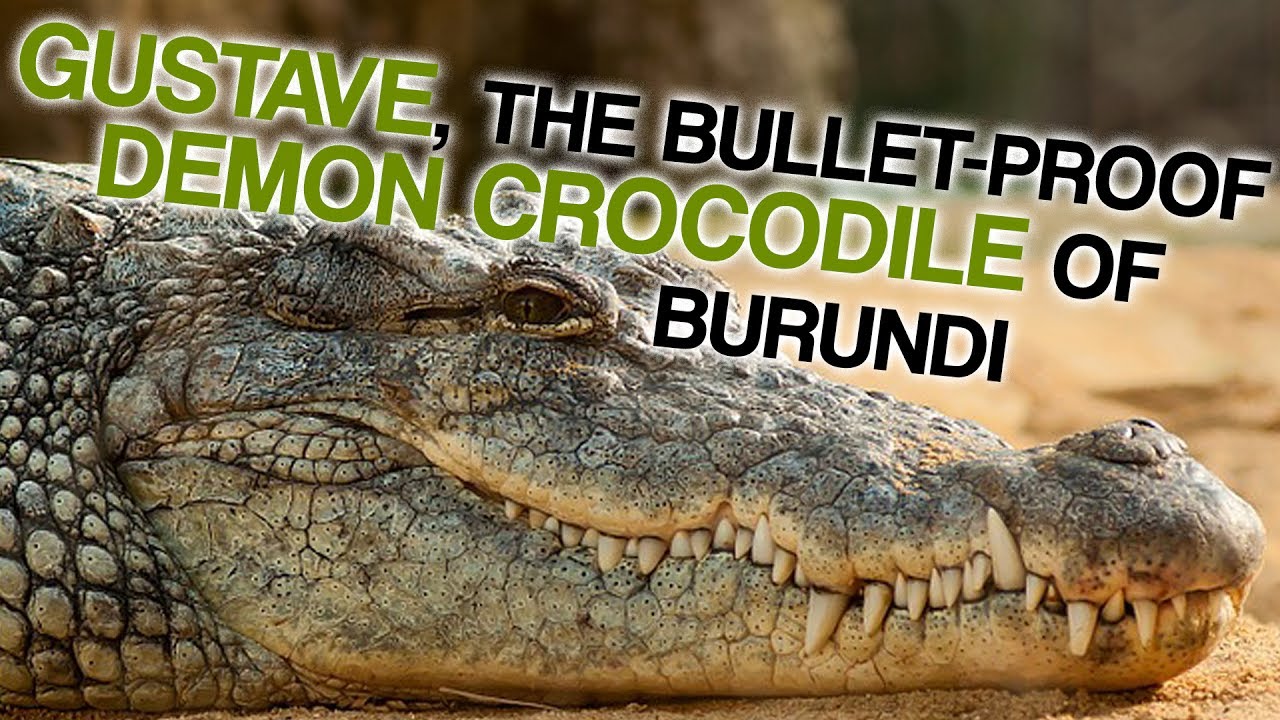 The Bulletproof Demon Crocodile of Burundi (Corporal Ben Dover)
