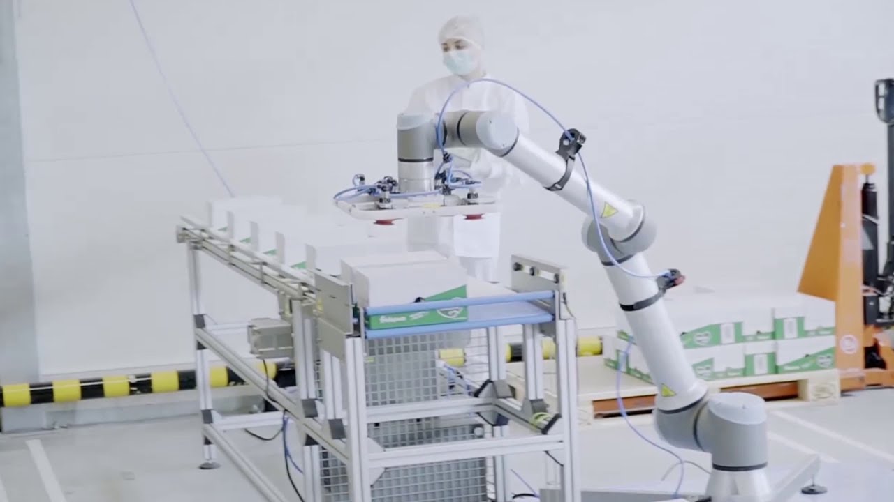 W tej fabryce znaleźli sposób na nudną pracę. Zobacz, przy jakich zajęciach roboty odciążyły ludzi