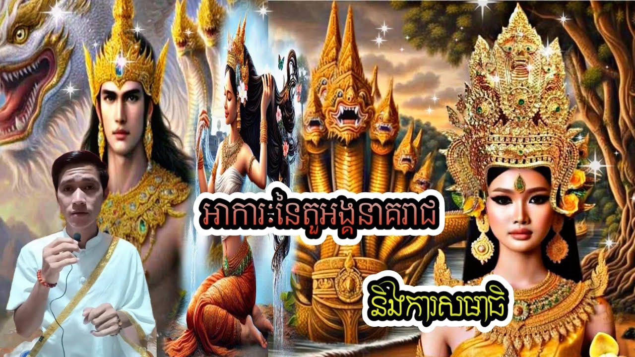 អាការៈនៃតួអង្គនាគនិងការសមាធិ