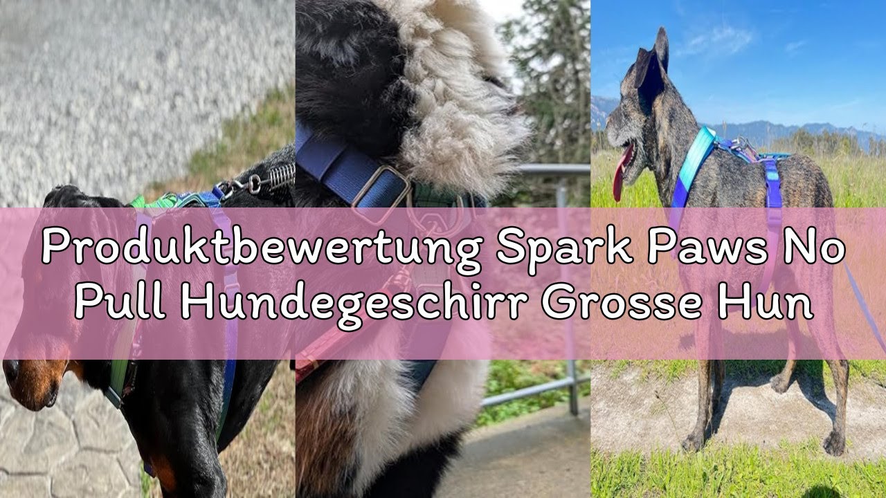 Produktbewertung Spark Paws No Pull Hundegeschirr Grosse Hunde, Halterdesign mit Frontclip, Y Geschi