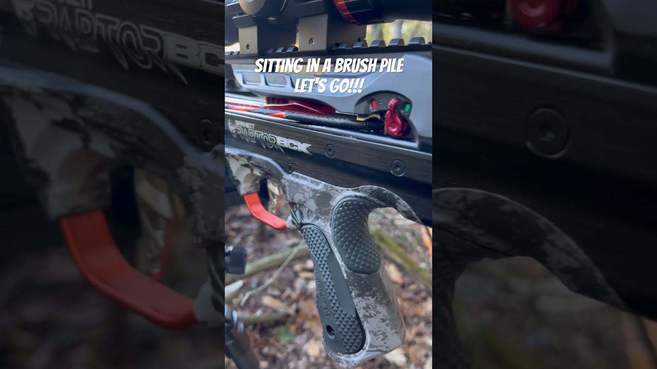 Hyper Raptor BCX In The Wild #crossbow #crossbowhunting #hunting