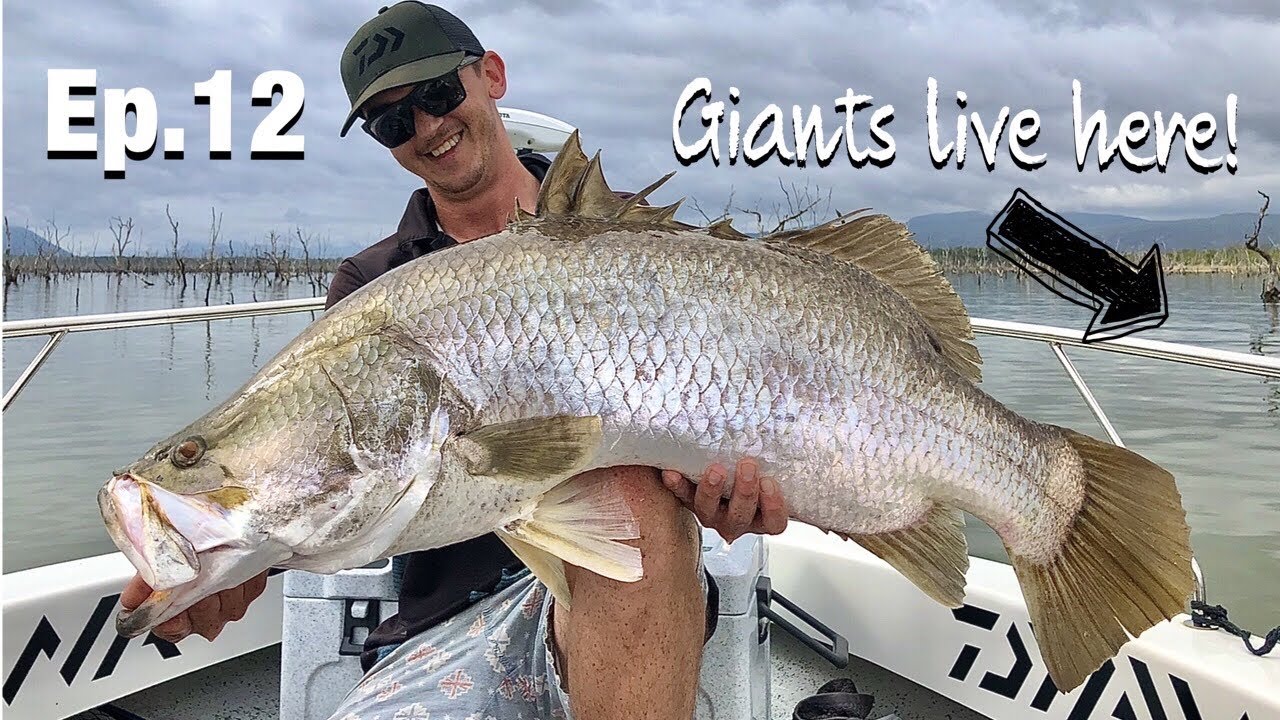 LAKE PROSERPINE BARRAMUNDI - Peter Faust dam