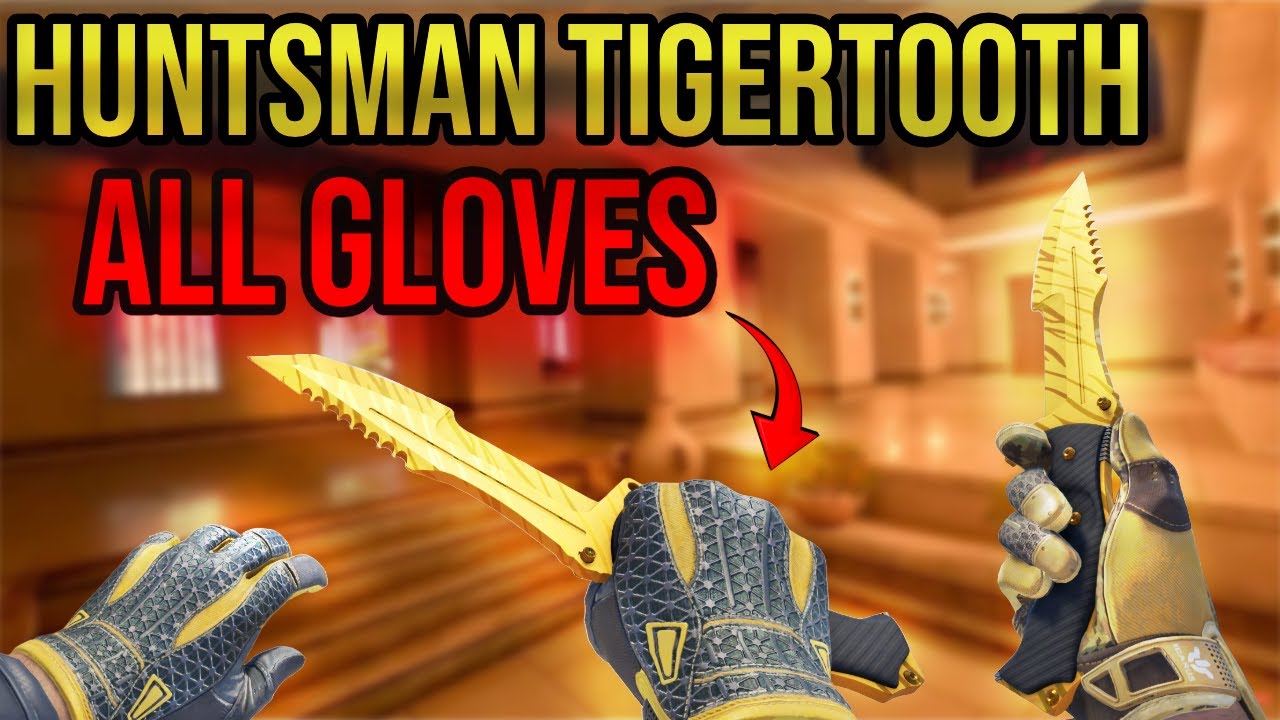 ALL Huntsman Tiger Tooth Glove Combos