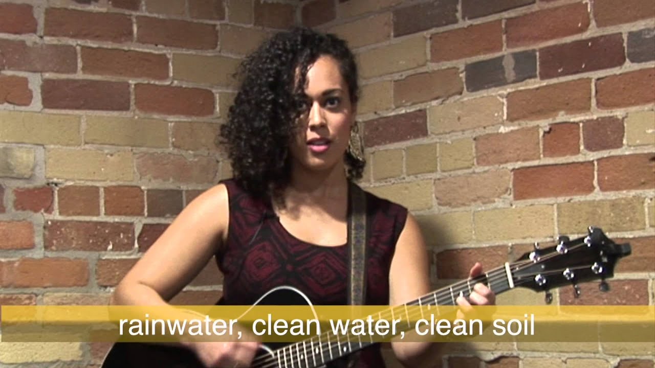 #GiveBeesAChance (Sierra Club Canada Foundation)