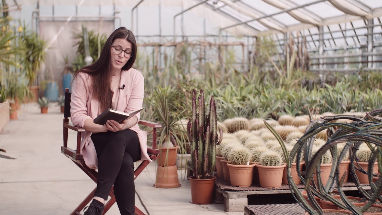 Kaktuspoesie 🌵 - Franziska Waldner