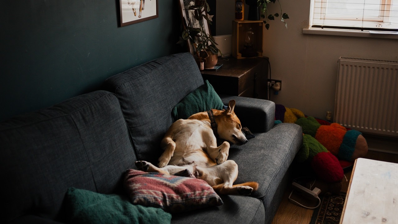 Life at Home