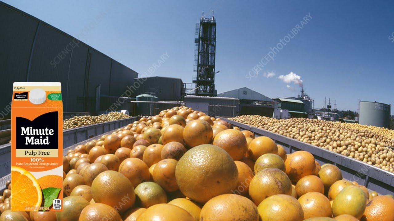 🍊 Inside the Orange Juice Factory &ndash; From Fresh Fruit to Bottle! 🥤