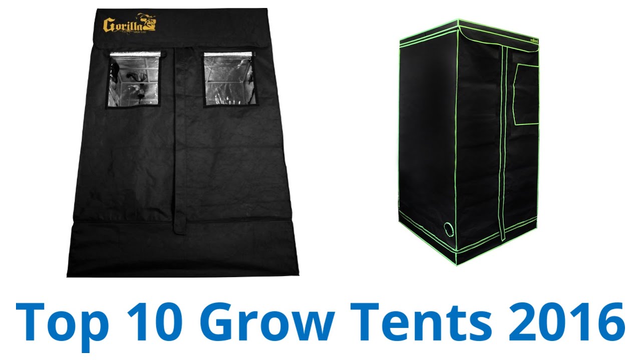 10 Best Grow Tents | Fall  2016