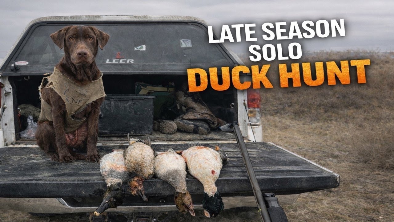 Late Season SOLO Duck Hunt!!! (1st Video)