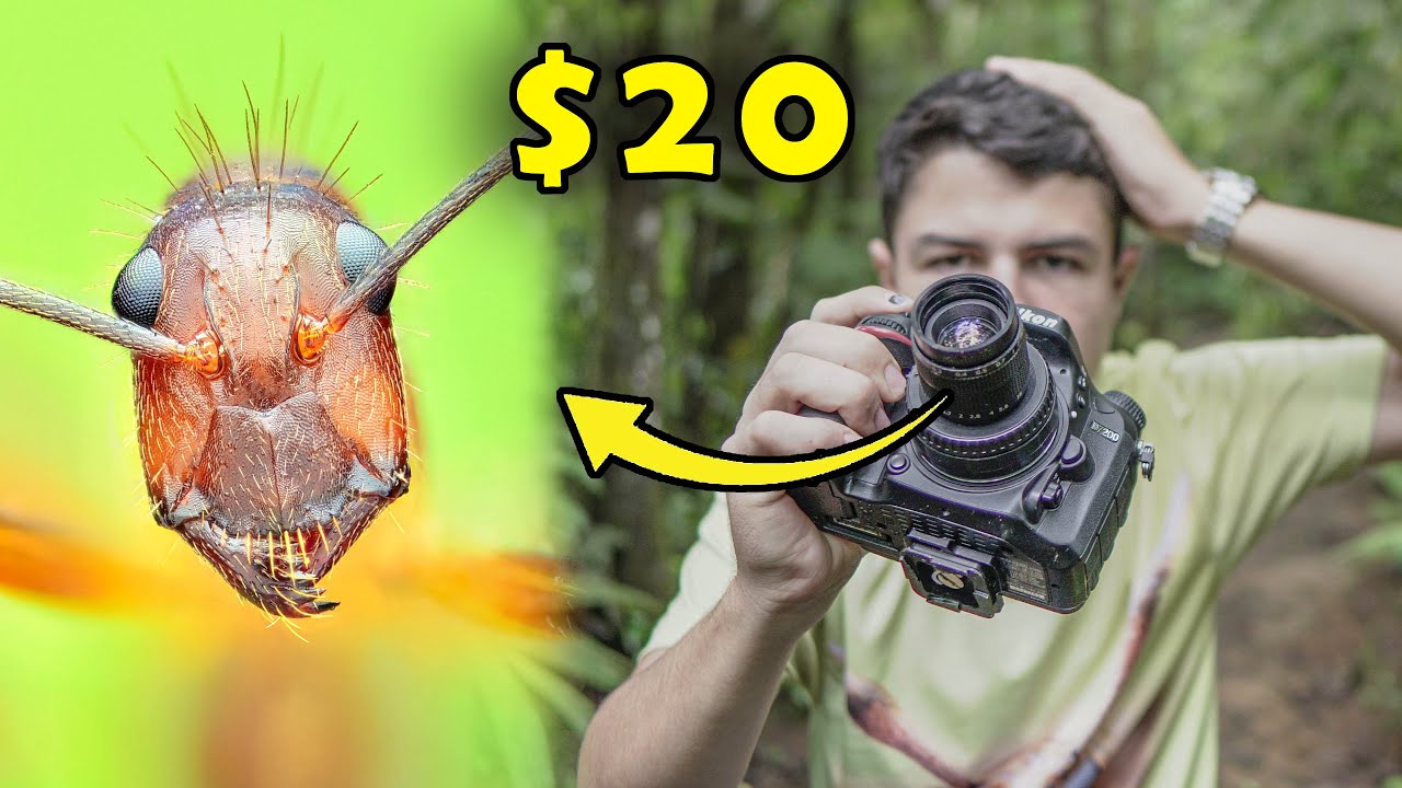 El lente MACRO MÁS BARATO QUE EXISTE! Apenas $20 ​😱​🐞​