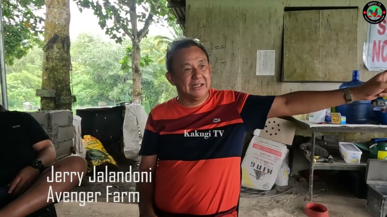 mga lessons na dapat nating tandaan para sa ating mga sisiw
