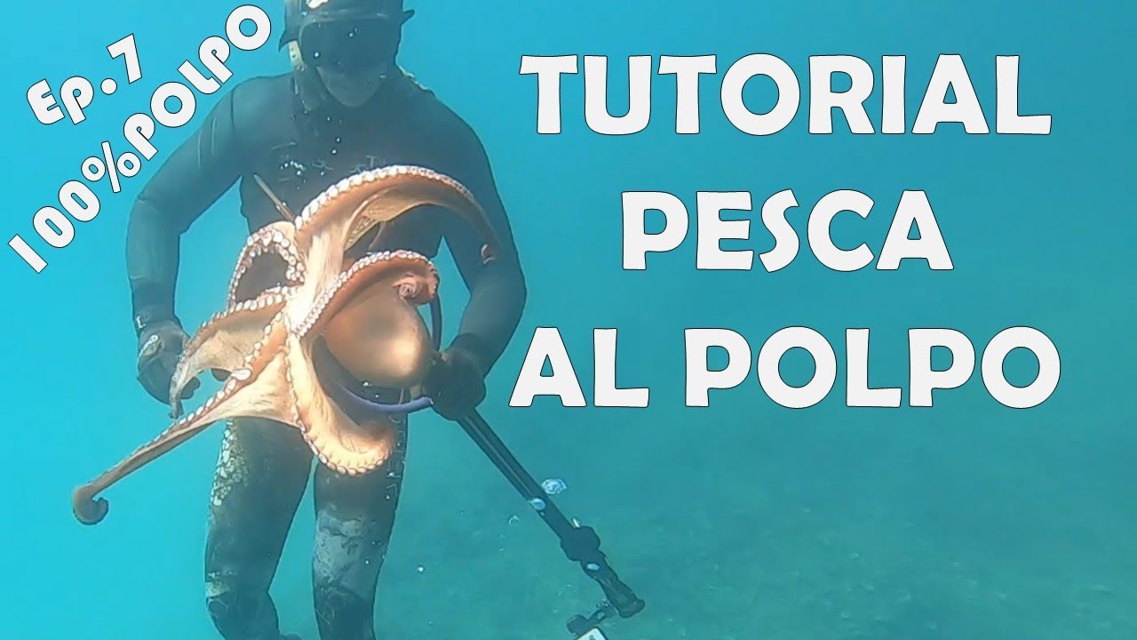 MA COME SI PRENDONO?🐙 - 100 % POLPO Ep.7