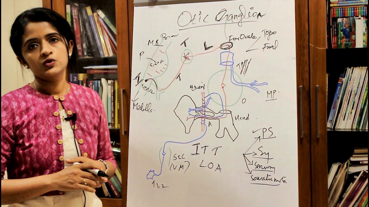 THE OTIC GANGLION-DR ROSE JOSE MD