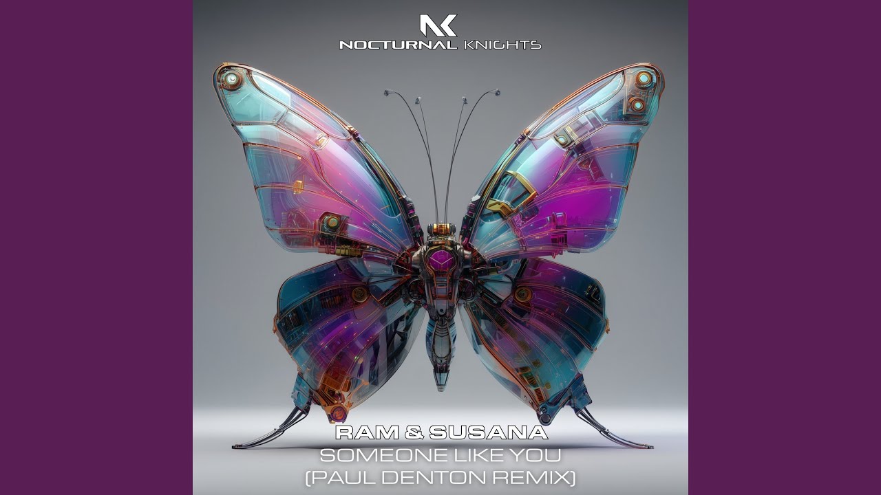 Someone Like You (Paul Denton Remix)