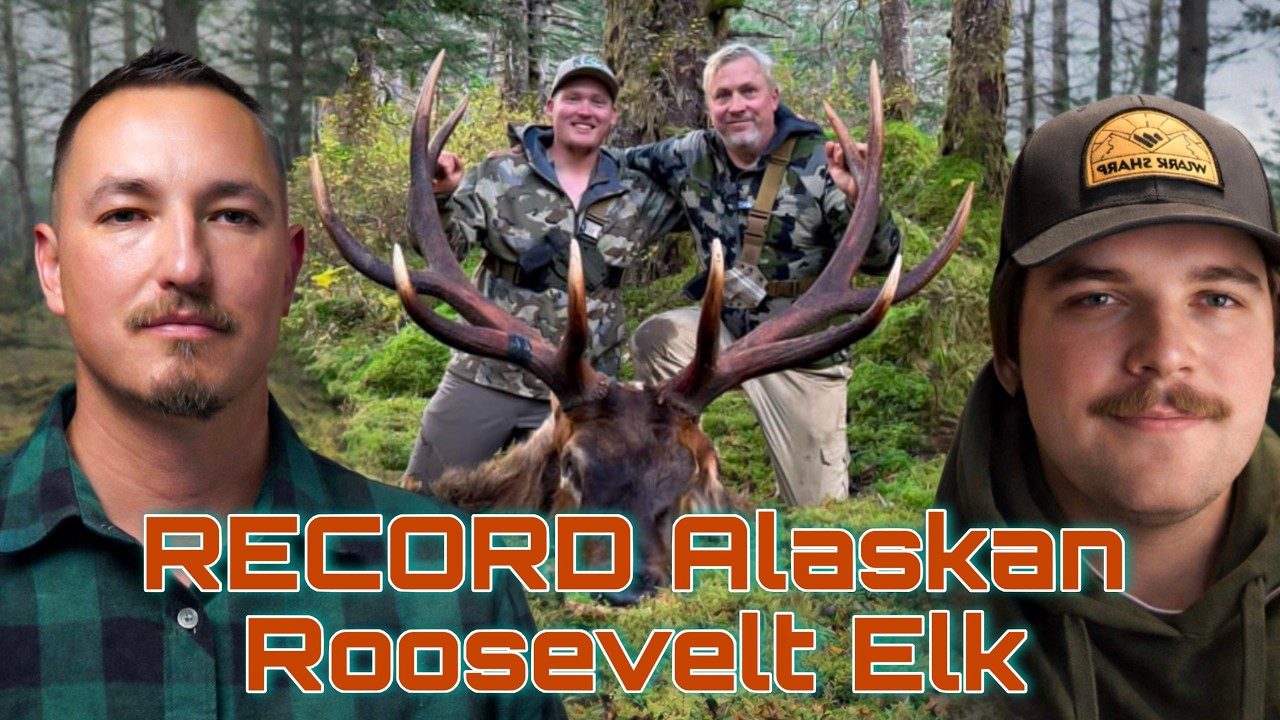 A RECORD Alaska Elk Hunt on Afognak Island
