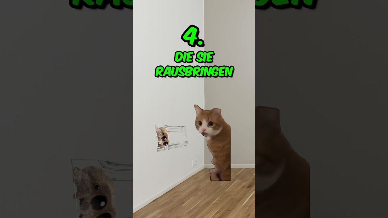 Arten wie Leute auf Spinnen reagieren 