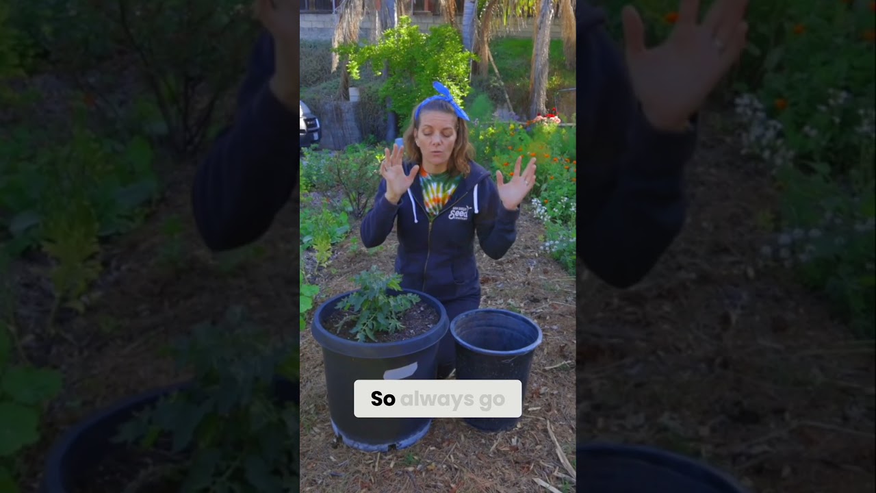 Maximize Plant Growth: Choose the Right Pot Size