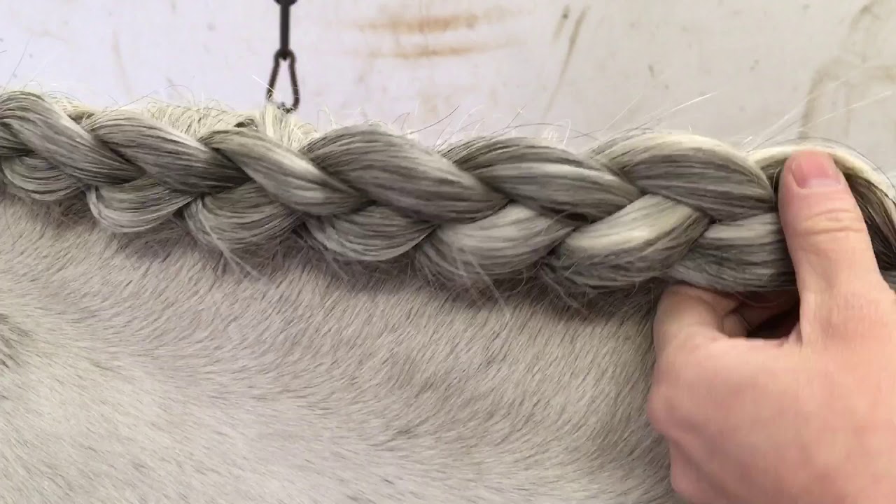 Emmas flätskola