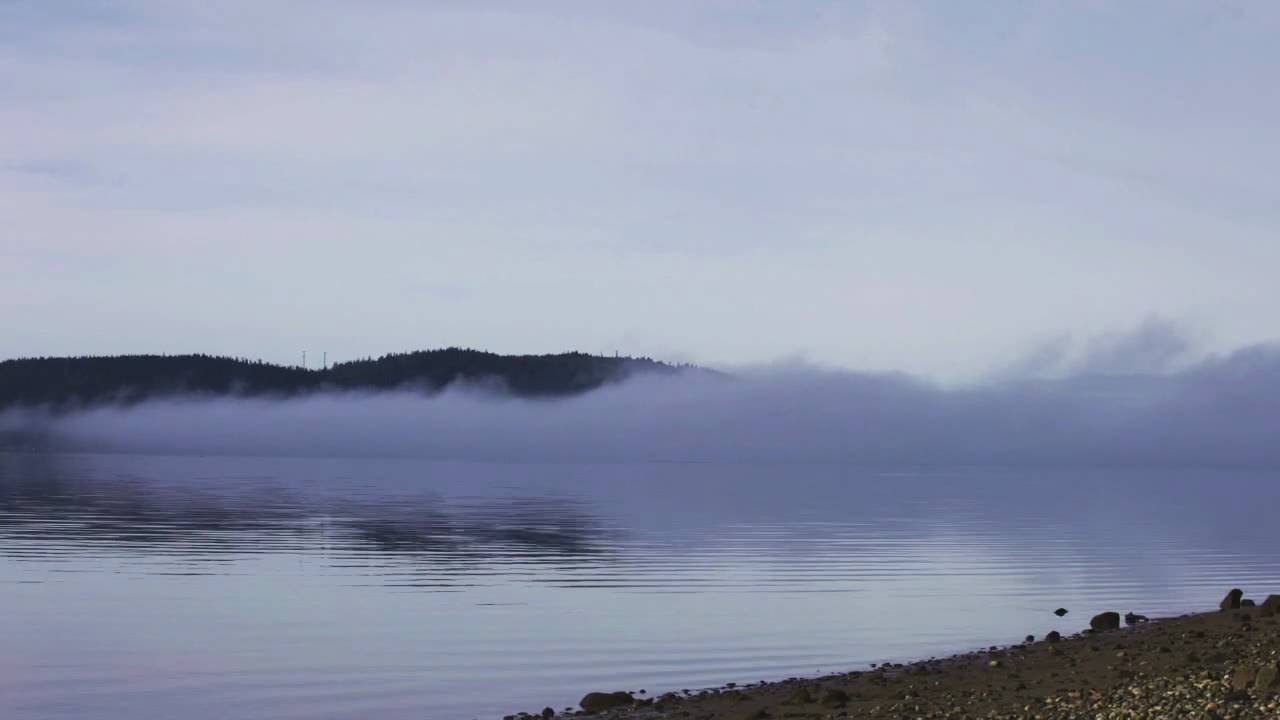 Foggy Bay