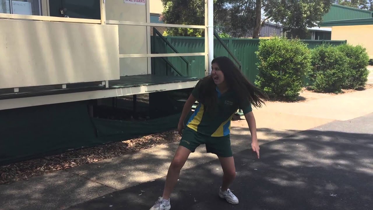 Chelly On Crack Vine Parody - Memories of Year 12