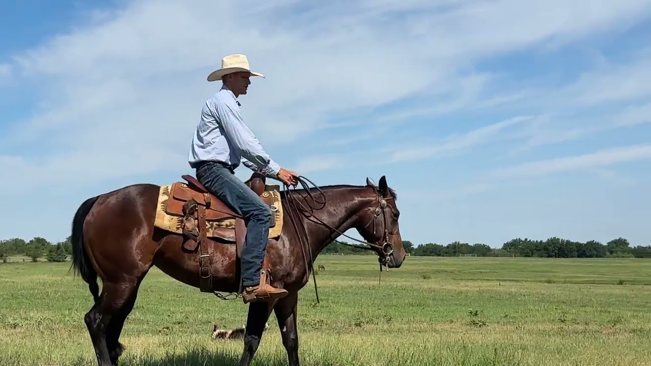 "How do I teach my horse to neck rein?" Isaac Johnson with Rockin X talks the basics of neck reining