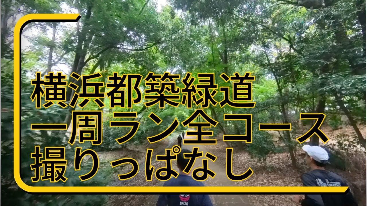 横浜市都筑区緑道一周ラン(2024年11月某日)〜 Yellow Monkey Brewingでクラフトビール