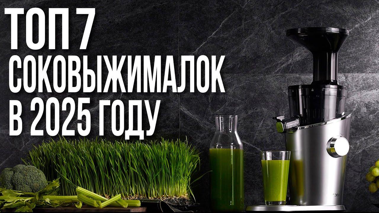 Соковыжималка для Дома. Лучшие Соковыжималки 2025: Топ Шнековых и Центробежных Моделей