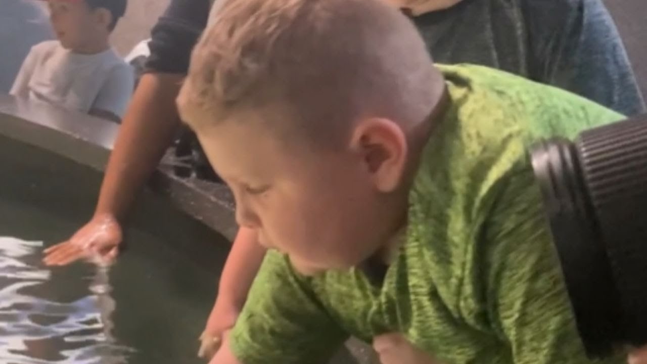 Curious boy stung with disgust after touching slimy stingray *GOLD REACTION!* || WooGlobe