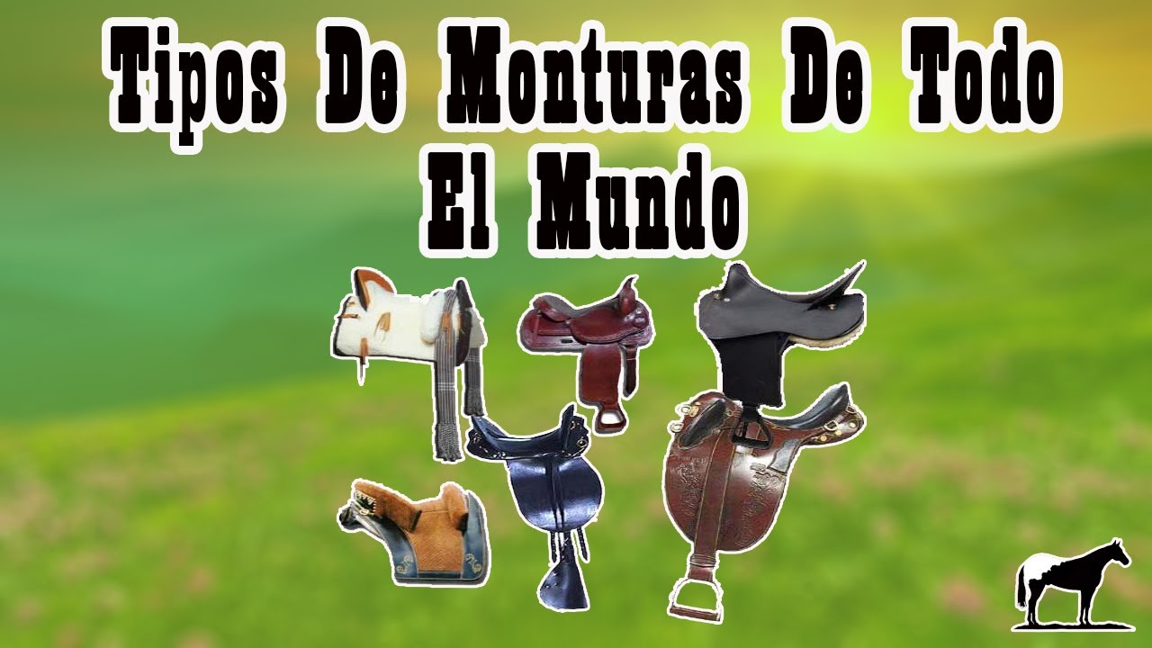 Las Mejores Sillas De Montar Del Mundo 🐴-Del Cerro Soy