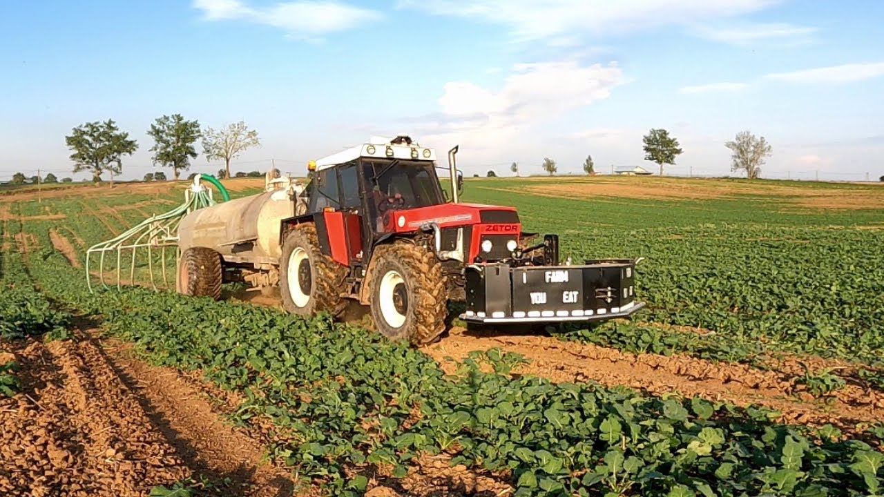 Transport & rozlewanie gnojowicy od świń. Zetor 16145 Turbo 88''