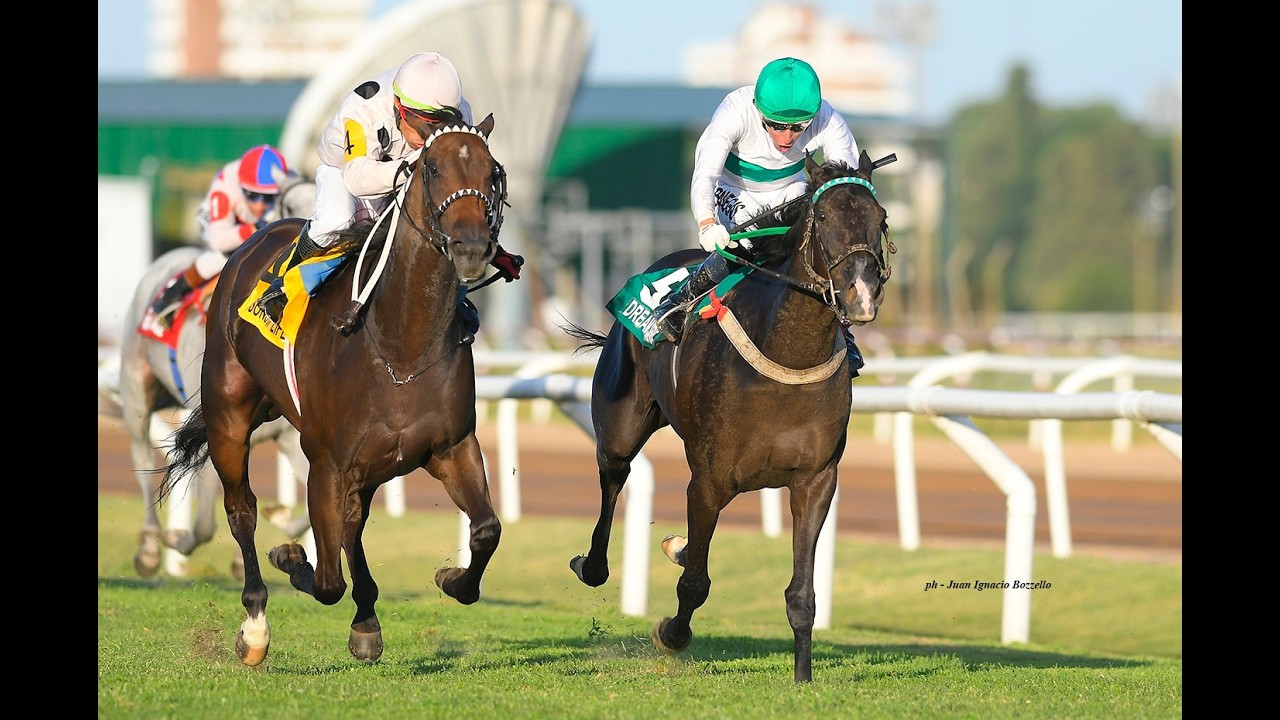 Cl&aacute;sico Ricardo, Ezequiel y Ezequiel M. Fernandez Guerrico (G2) 2026 - Lessons of Life (Le Blues)