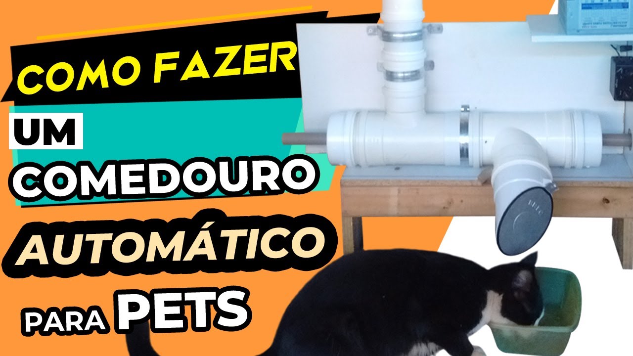 COMO FAZER UM COMEDOURO AUTOM&Aacute;TICO | imaginou ter um alimentador para cachorros e gatos autom&aacute;tico ?