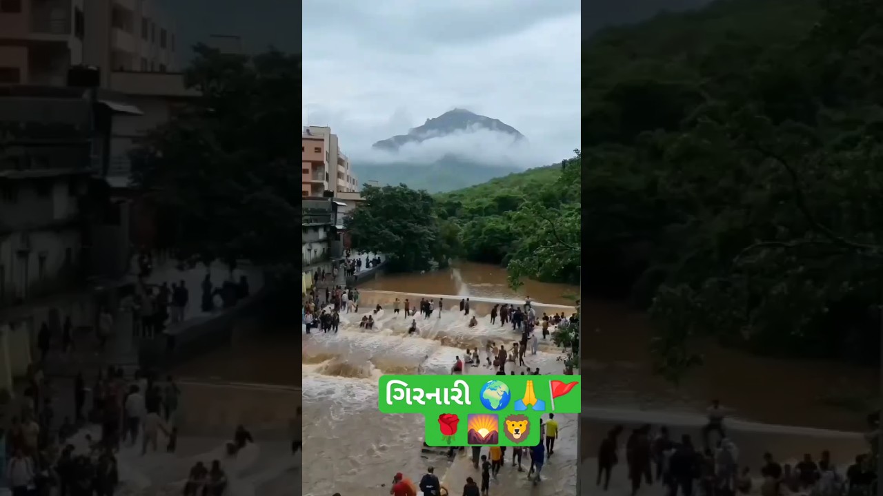 girnar heavy rain junagadh rain #shorts #viral #rain #junagadh danger rain in gujrat