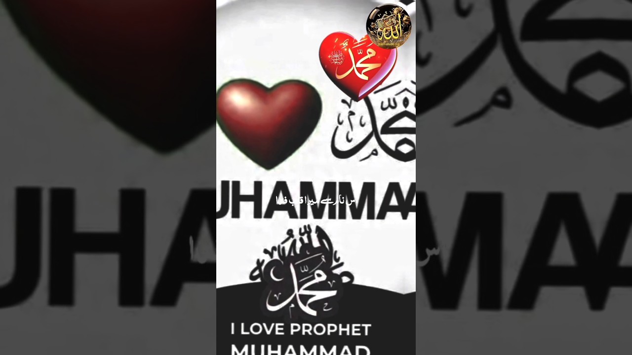 I Love Muhammad Protest #shorts